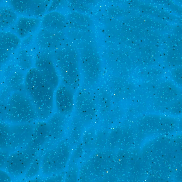 Fiberglass Pool Colors